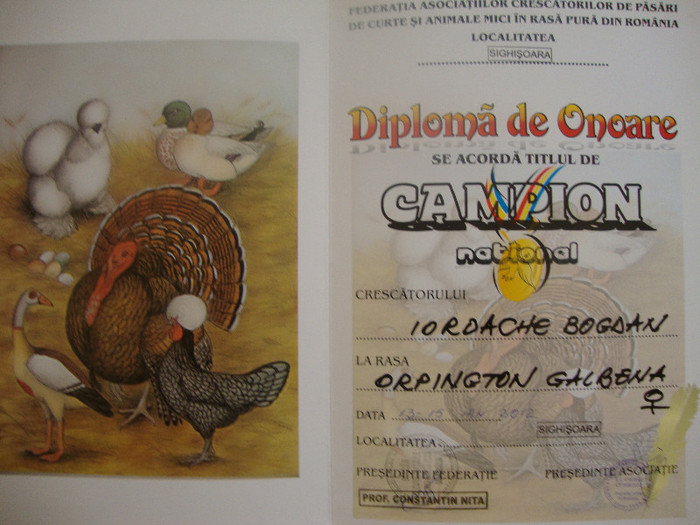 DSC01918 - Cupe si Diplome 2010-2012