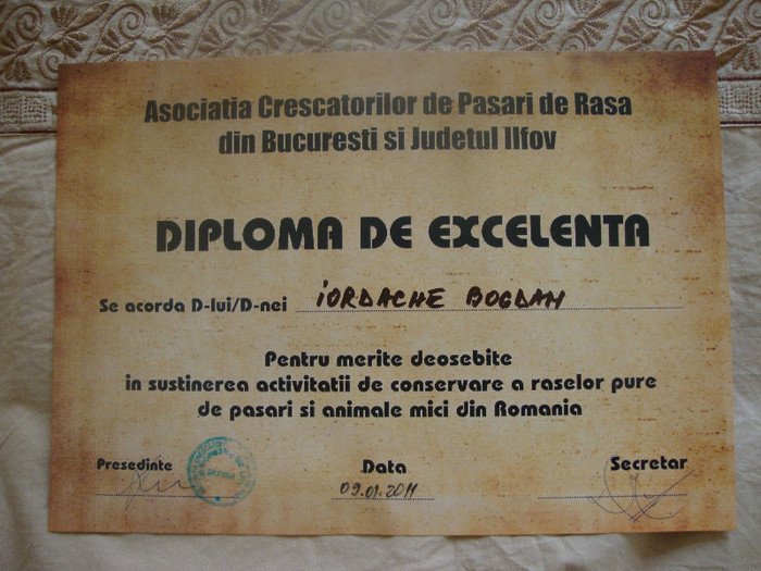 DSC01925 - Cupe si Diplome 2010-2012