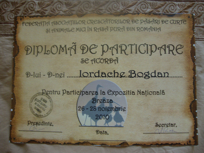 DSC01926 - Cupe si Diplome 2010-2012