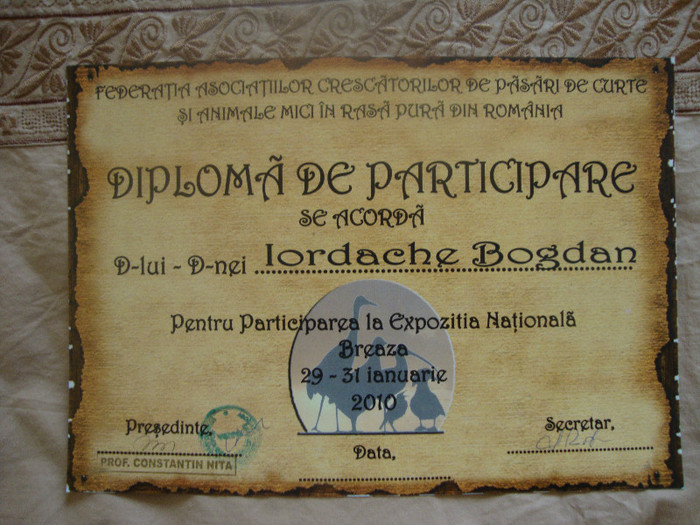 DSC01927 - Cupe si Diplome 2010-2012