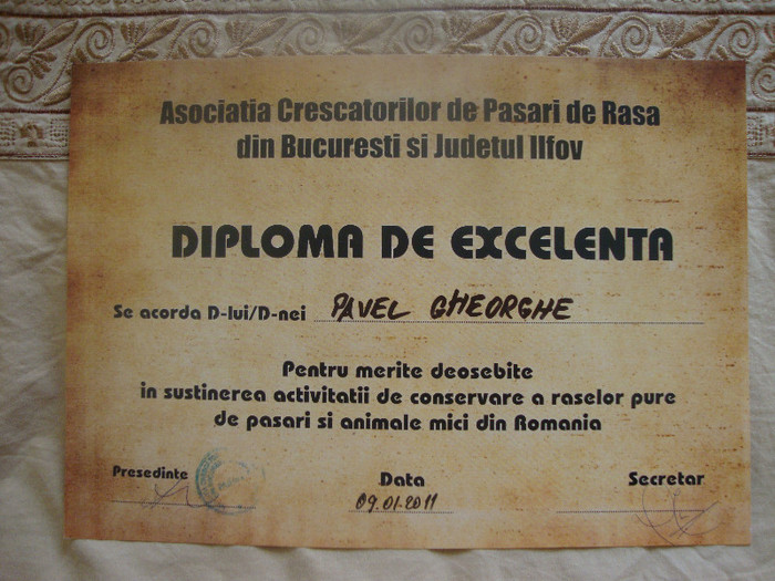 DSC01928 - Cupe si Diplome 2010-2012