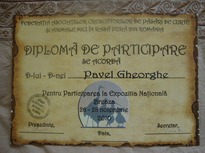 DSC01929 - Cupe si Diplome 2010-2012
