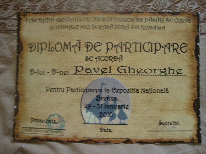 DSC01930 - Cupe si Diplome 2010-2012