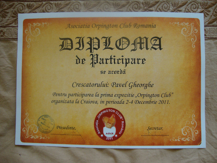 DSC01931 - Cupe si Diplome 2010-2012