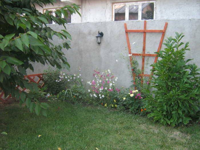 IMG_4495 - gradina 2011