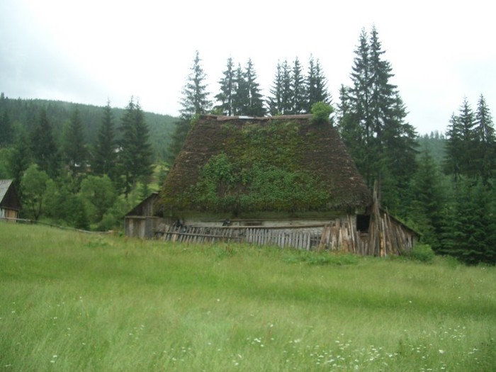 casuta-din-apuseni