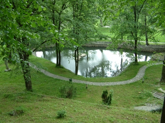 image_large[1]