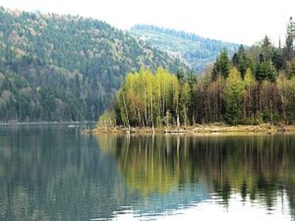 l_dragan1