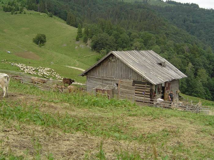 Langa Pasul Bratocea _Ciucas_