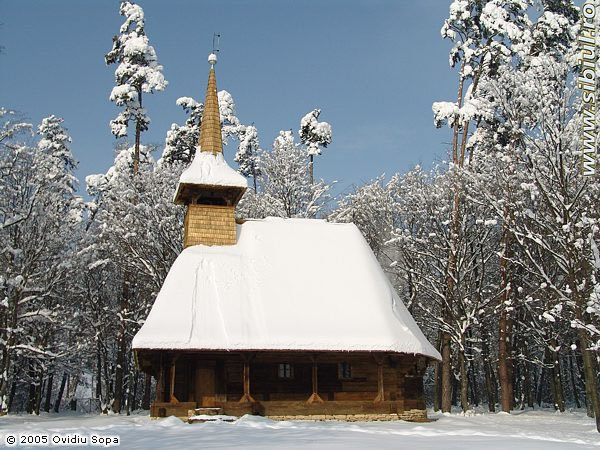 muzeul_satului