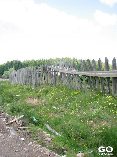 Padis-10