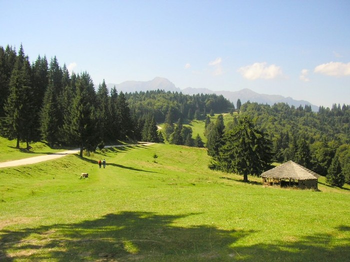 peisaj-paraul-rece-1155