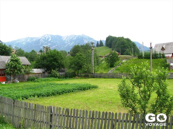 Picture-062