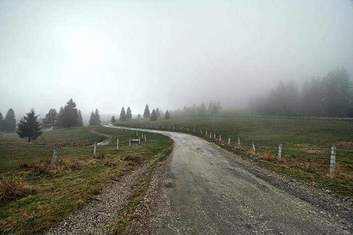 the-fog-the-road-1080