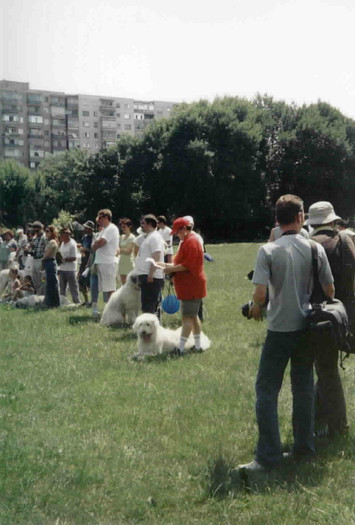 olimpia 2 - O-Bucuresti-Olimpia 2003