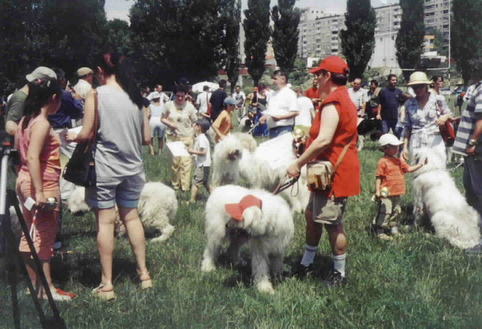 olimpia 4 - O-Bucuresti-Olimpia 2003