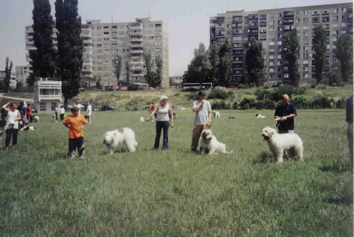 olimpia 11 - O-Bucuresti-Olimpia 2003