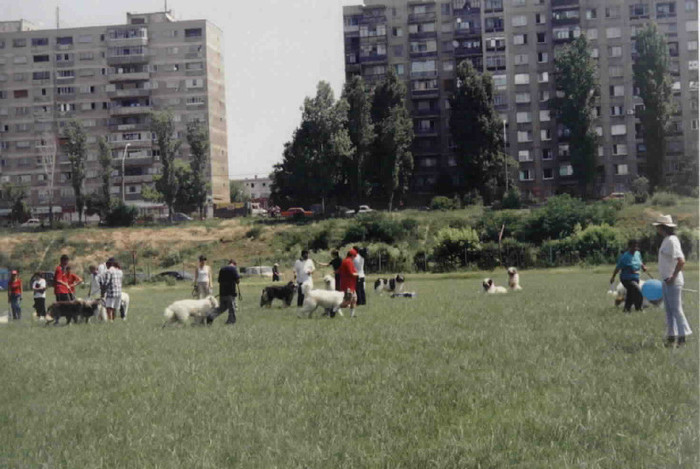 olimpia 12 - O-Bucuresti-Olimpia 2003