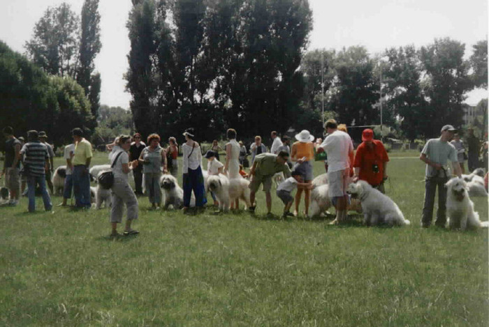 olimpia 15 - O-Bucuresti-Olimpia 2003