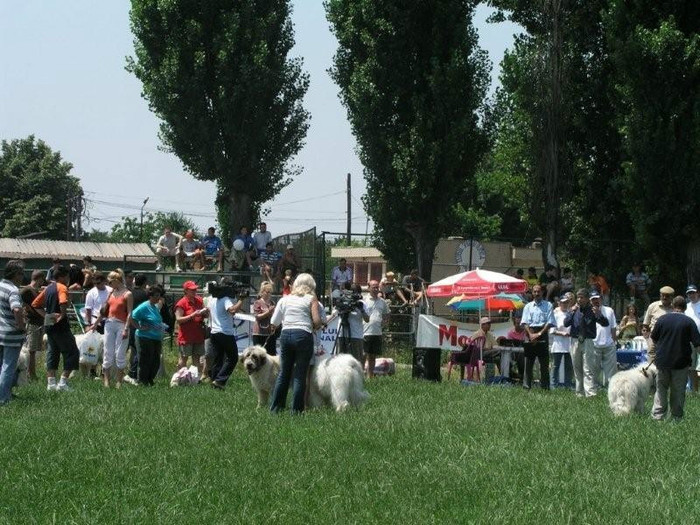 olimpia 36 - O-Bucuresti-Olimpia 2003
