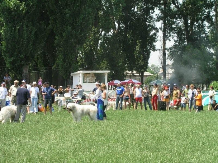 olimpia 37 - O-Bucuresti-Olimpia 2003