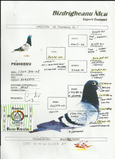 pedigreul bunicai lui 844&847 N.Bizdrigheanu(fica din Hagi)