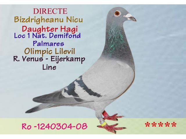 1240304-08bunica lui 844&847