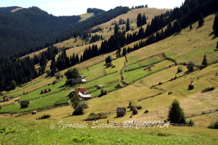 297174_122402981203266_100003006940247_120728_1316455868_n - BUCOVINA COLT DE RAI
