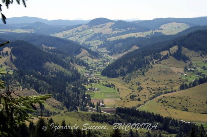 298845_116181648492066_100003006940247_95627_1318277856_n - BUCOVINA COLT DE RAI