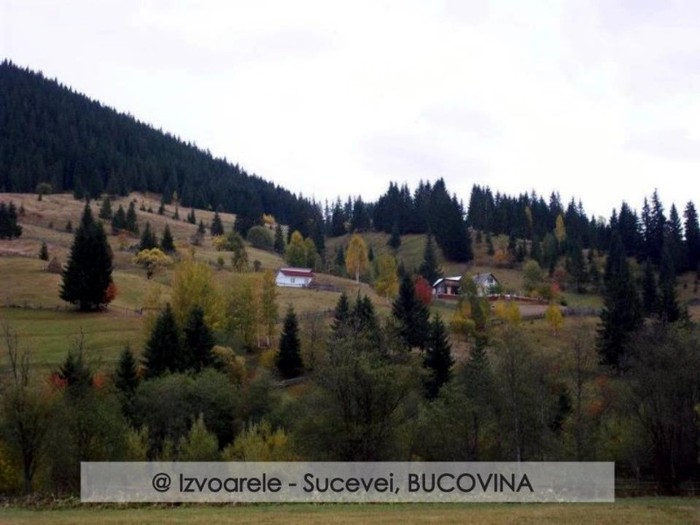 303145_107013102742254_100003006940247_53371_1166070145_n - BUCOVINA COLT DE RAI