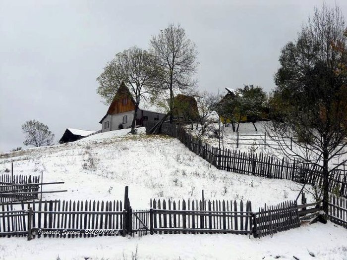 382361_128074683969429_100003006940247_137328_636526244_n - BUCOVINA COLT DE RAI