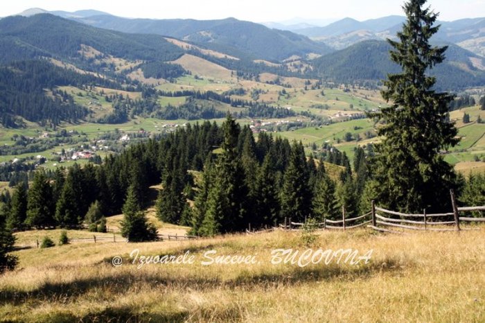 384245_124187631024801_100003006940247_125630_1746938954_n - BUCOVINA COLT DE RAI