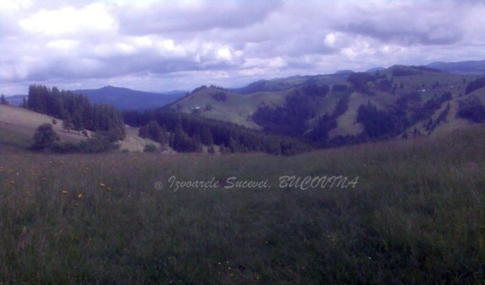 388632_156002214510009_100003006940247_209716_328914149_n - BUCOVINA COLT DE RAI