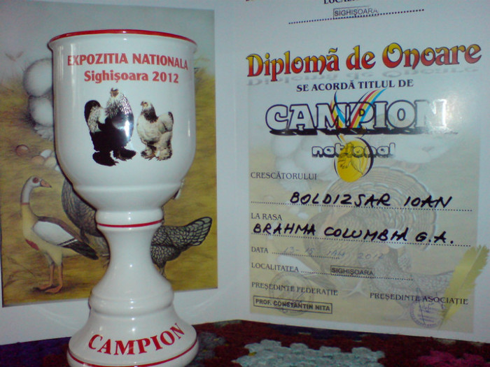 campion national Sighisoara 2012 - CUPE si DIPLOME 2010-2013