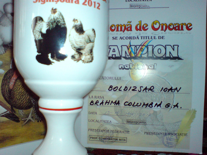 Sighisoara 13-15  2012 - CUPE si DIPLOME 2010-2013