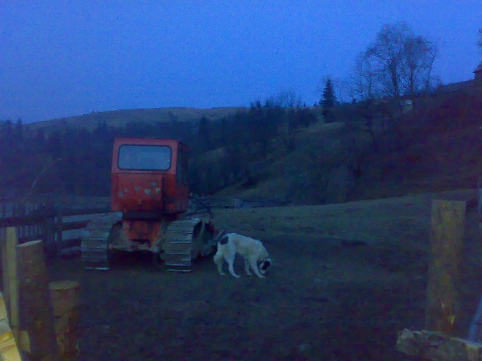250320111636 - GEMENEA satu meu