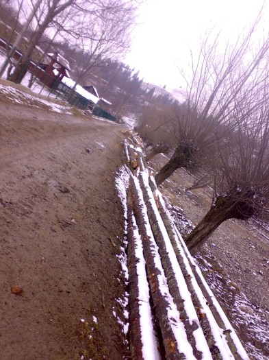 270320111654 - GEMENEA satu meu