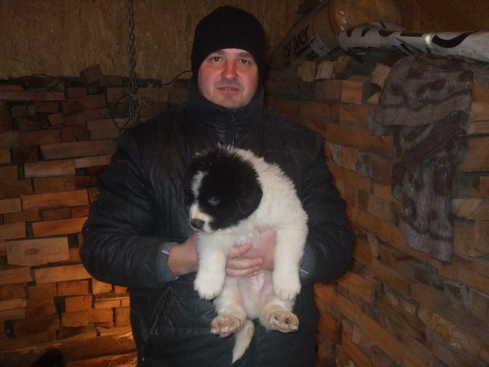 eu si gorun, o luna si o saptamana