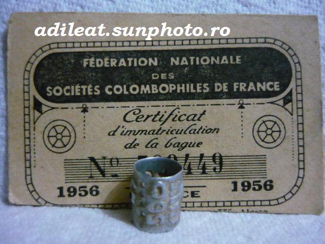 FRANTA-1956 - FRANTA-ring collection