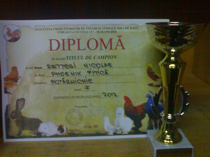 19012012857 - cupe si diplome