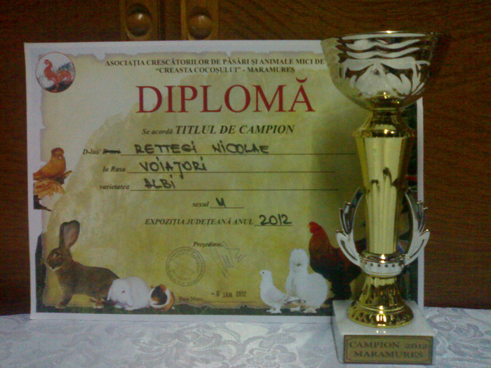 19012012860 - cupe si diplome