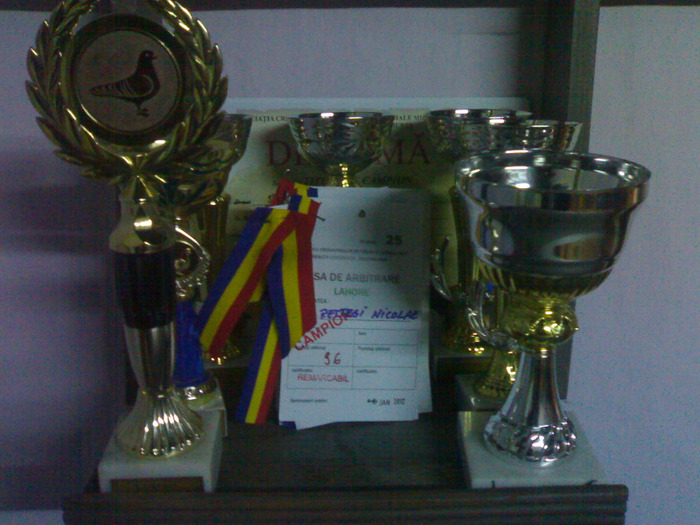 19012012863 - cupe si diplome