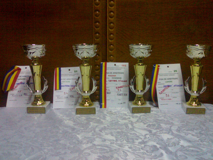 19012012848 - cupe si diplome