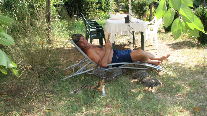 IMG_0179 - Mircea pe sezlong atacat de animale -bibilicile si pisica - 14 sept. 2011 - bibilici - 2 perechi