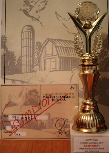 cupa Plymouth2010 - 2010-2013 Expo judeteana