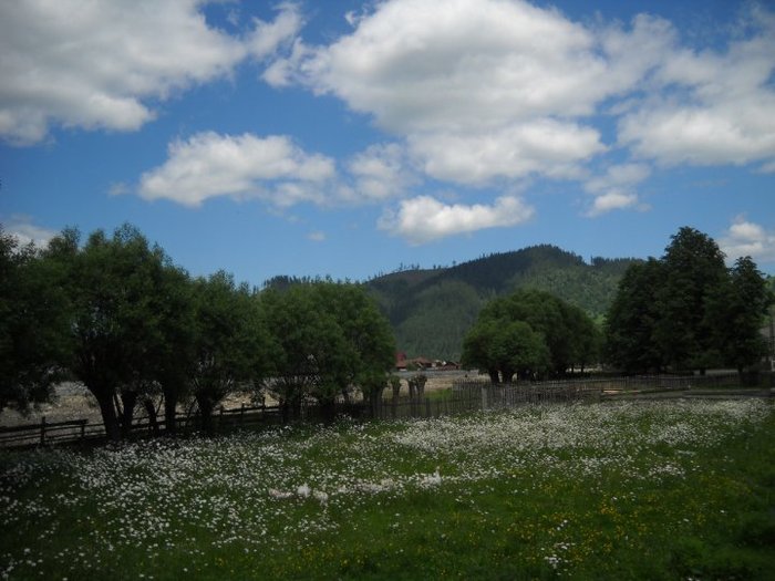 28424_128446067175995_100000318067487_230134_1448207_n - BUCOVINA COLT DE RAI