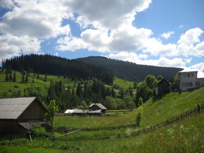 28424_128446073842661_100000318067487_230135_8292745_n