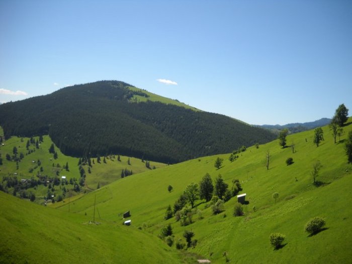 28424_128450043842264_100000318067487_230166_2224477_n - BUCOVINA COLT DE RAI