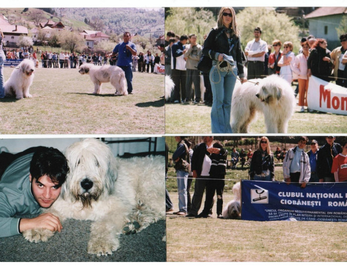 rucar 2004 Crai-Alex de Romania