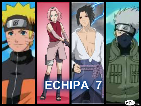 ECHIPA 7